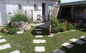 Les Bois Flottés en Ré